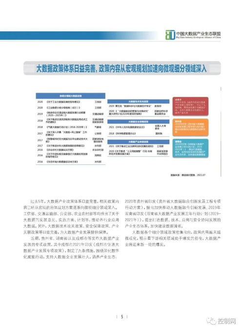 《2021中國大數(shù)據(jù)產(chǎn)業(yè)發(fā)展白皮書》解讀 基礎(chǔ)軟件服務(wù)，產(chǎn)業(yè)數(shù)智化的核心基石